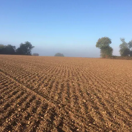 Le Du Grand Saulaie