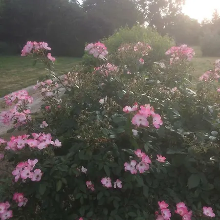 Prázdninový dům Le Du Grand Saulaie