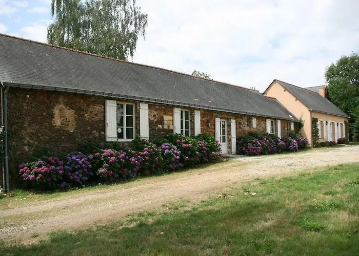 Le Du Grand Saulaie Chambellay