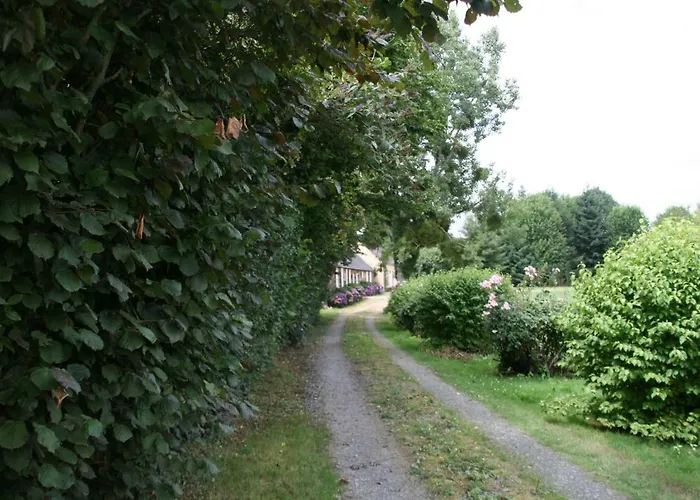 Le Du Grand Saulaie Chambellay