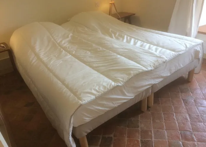 Le Du Grand Saulaie * Chambellay