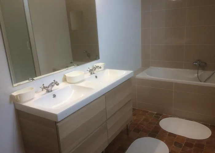 Le Du Grand Saulaie Vakantiehuis *