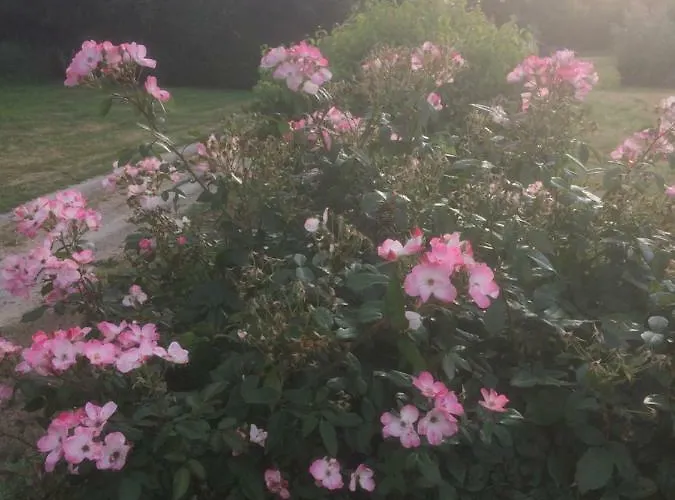 Vakantiehuis Le Du Grand Saulaie